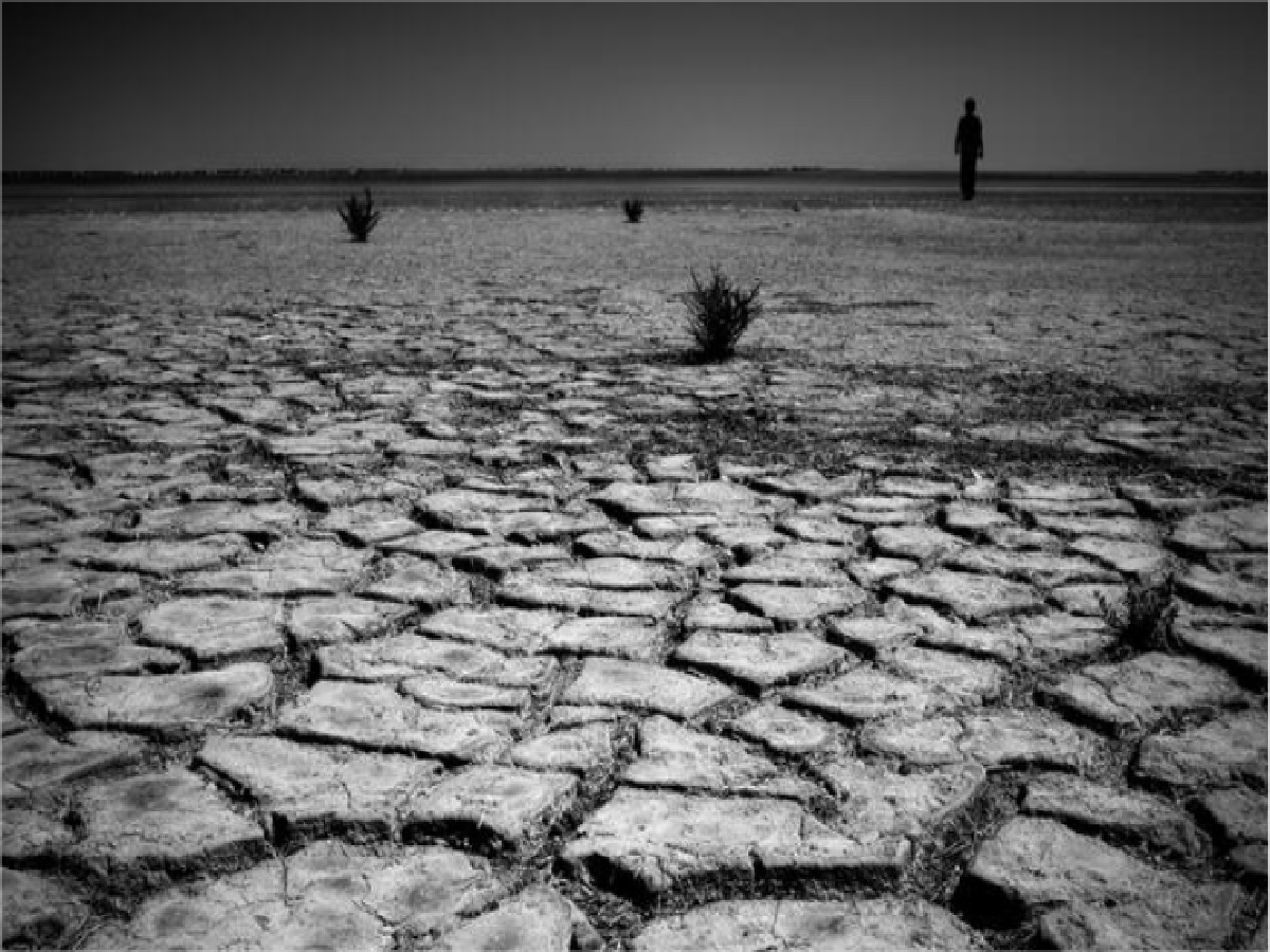 Terreno desertificado