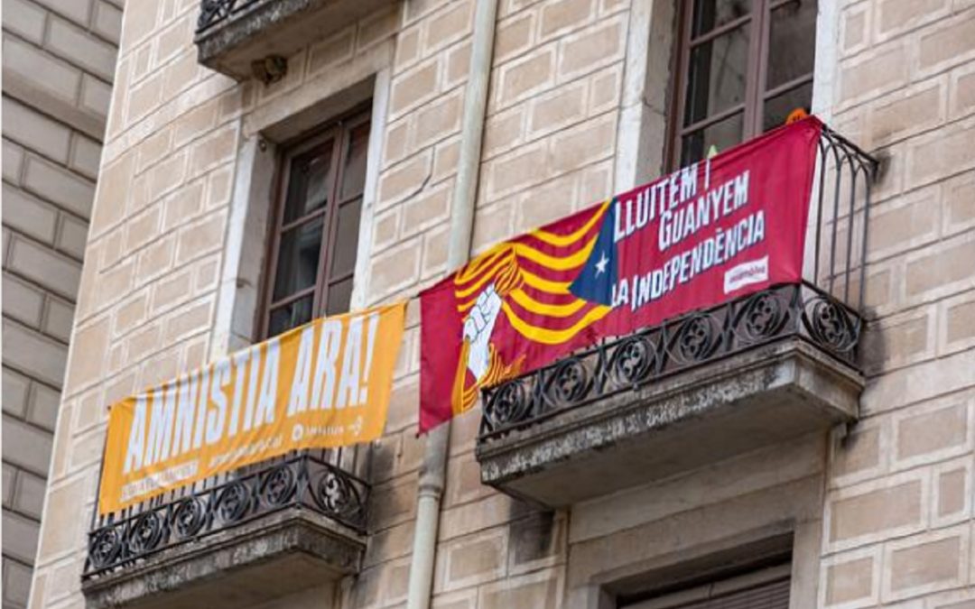 La amnistía y el indulto: la teoría