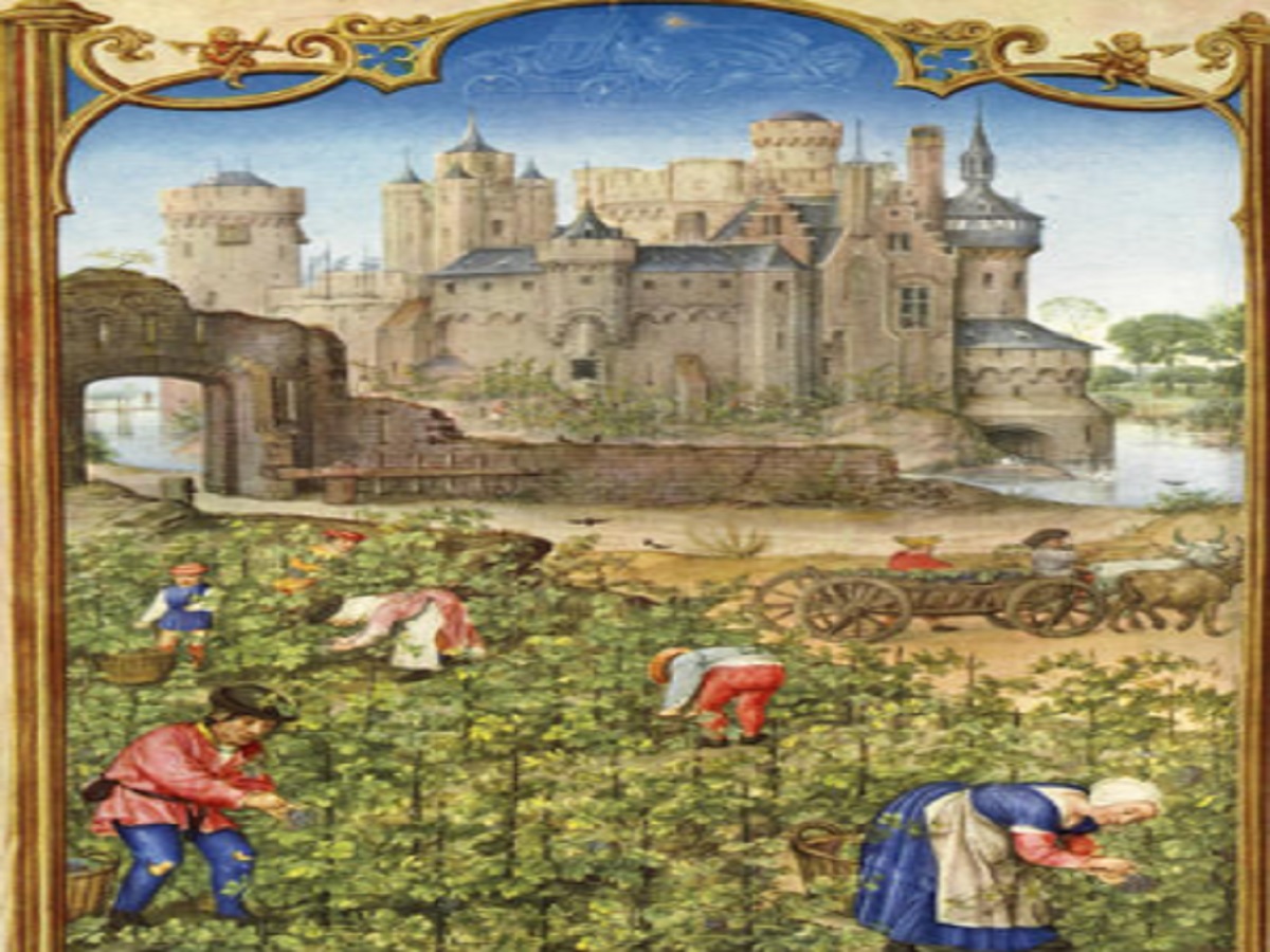 Recolección. Edad Media