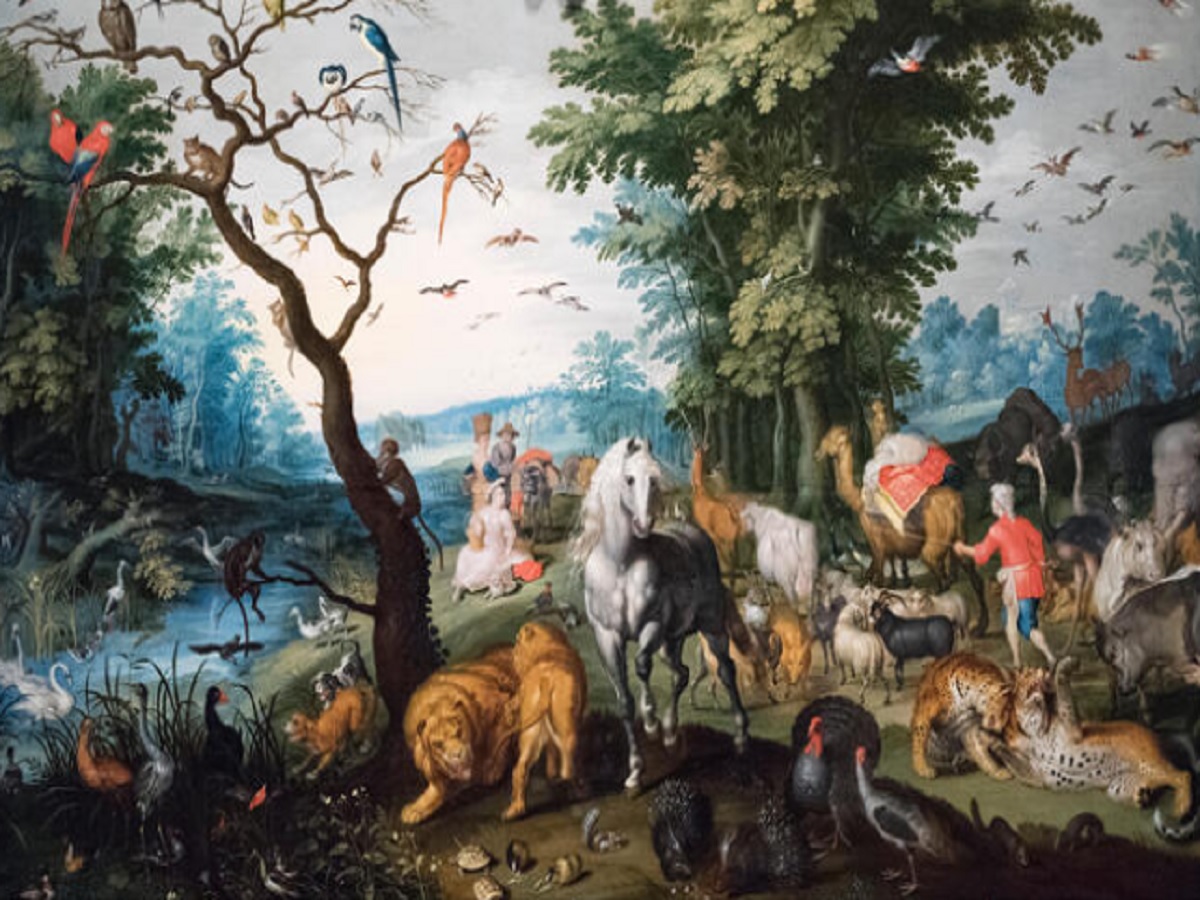 Especies entrando al Arca de Noé