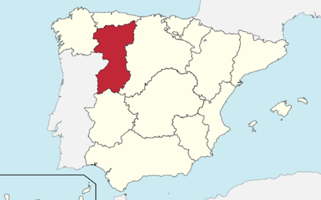 El movimiento leonesista – Parte 2