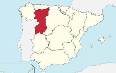 El movimiento leonesista – Parte 2