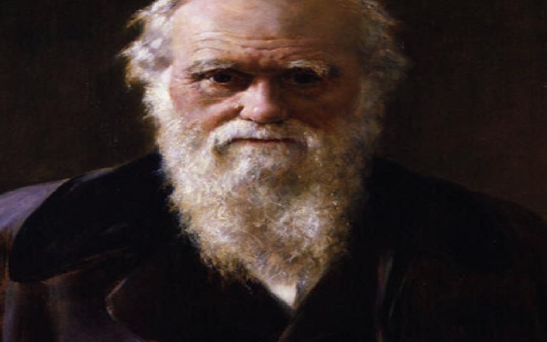 El darwinismo social: una tergiversación violenta