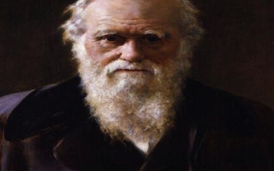 El darwinismo social: una tergiversación violenta