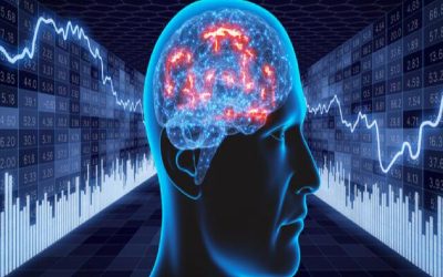 El rol de la imaginación en política