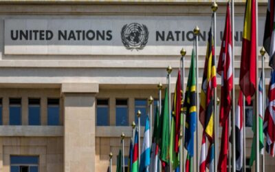 Las Relaciones Internacionales, un mundo anárquico donde prevalece la fuerza